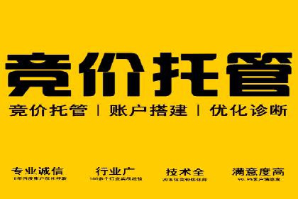 百度SEM推广的创意策略与效果评估